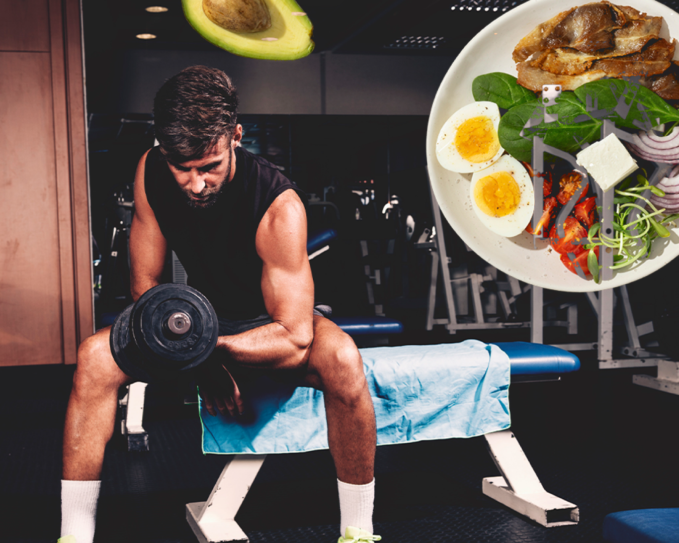 Nutrição, Hipertrofia e Força